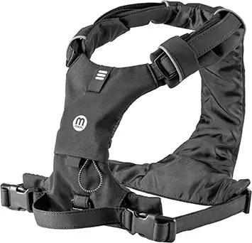 Dog Accessories 2025