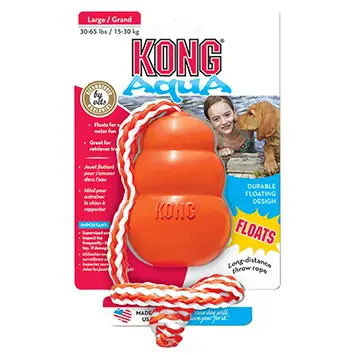 Dog Accessories 2025