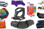 Dog Accessories 2025