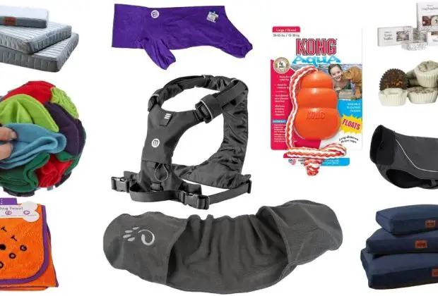 Dog Accessories 2025