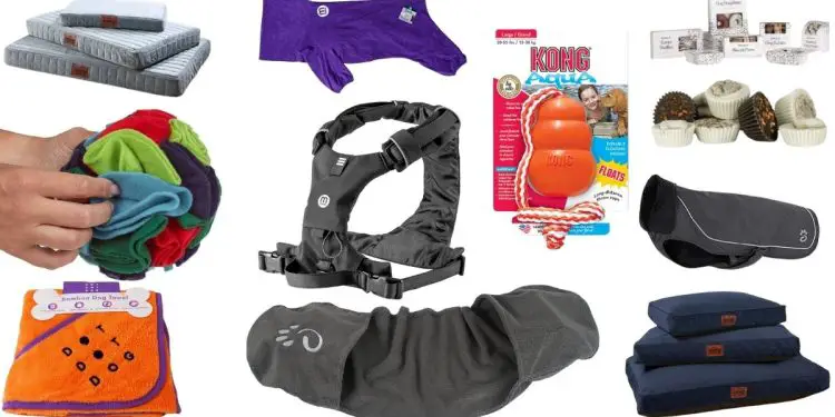 Dog Accessories 2025
