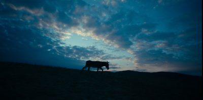 EO (2022) – Film Review