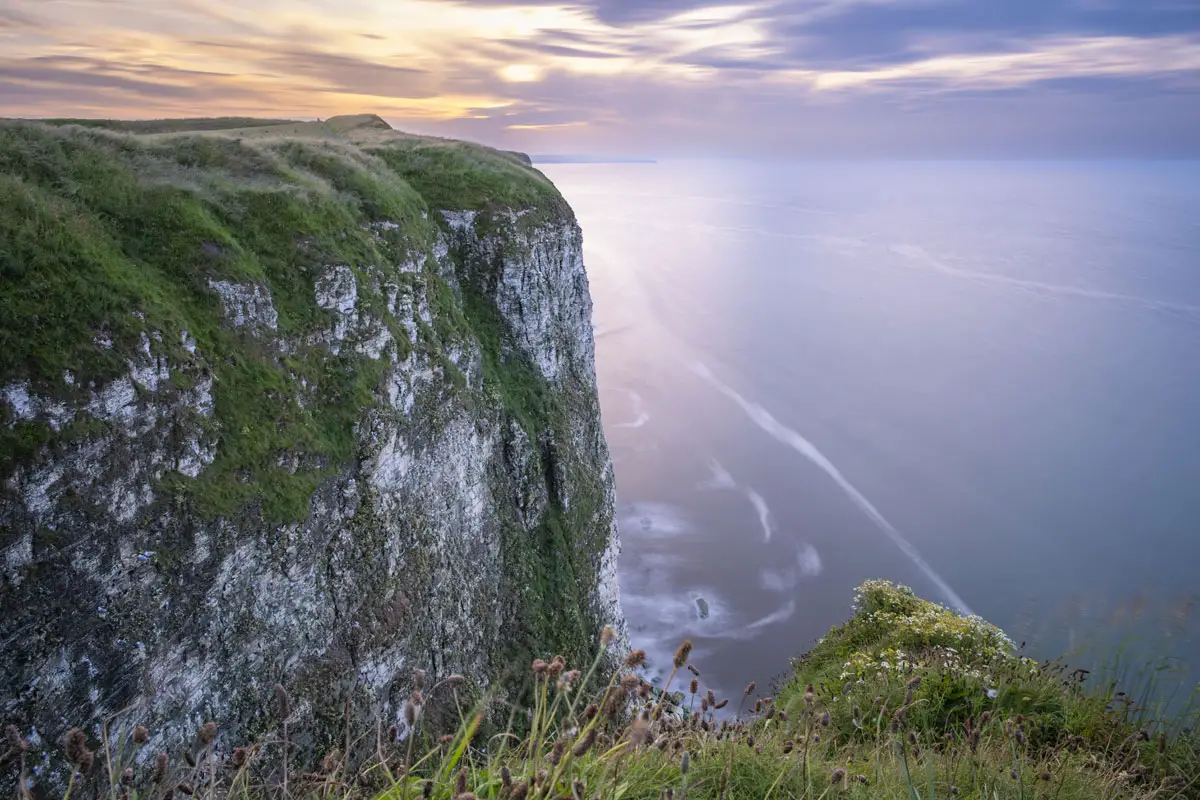 East Yorkshire Coast Travel Review bempton