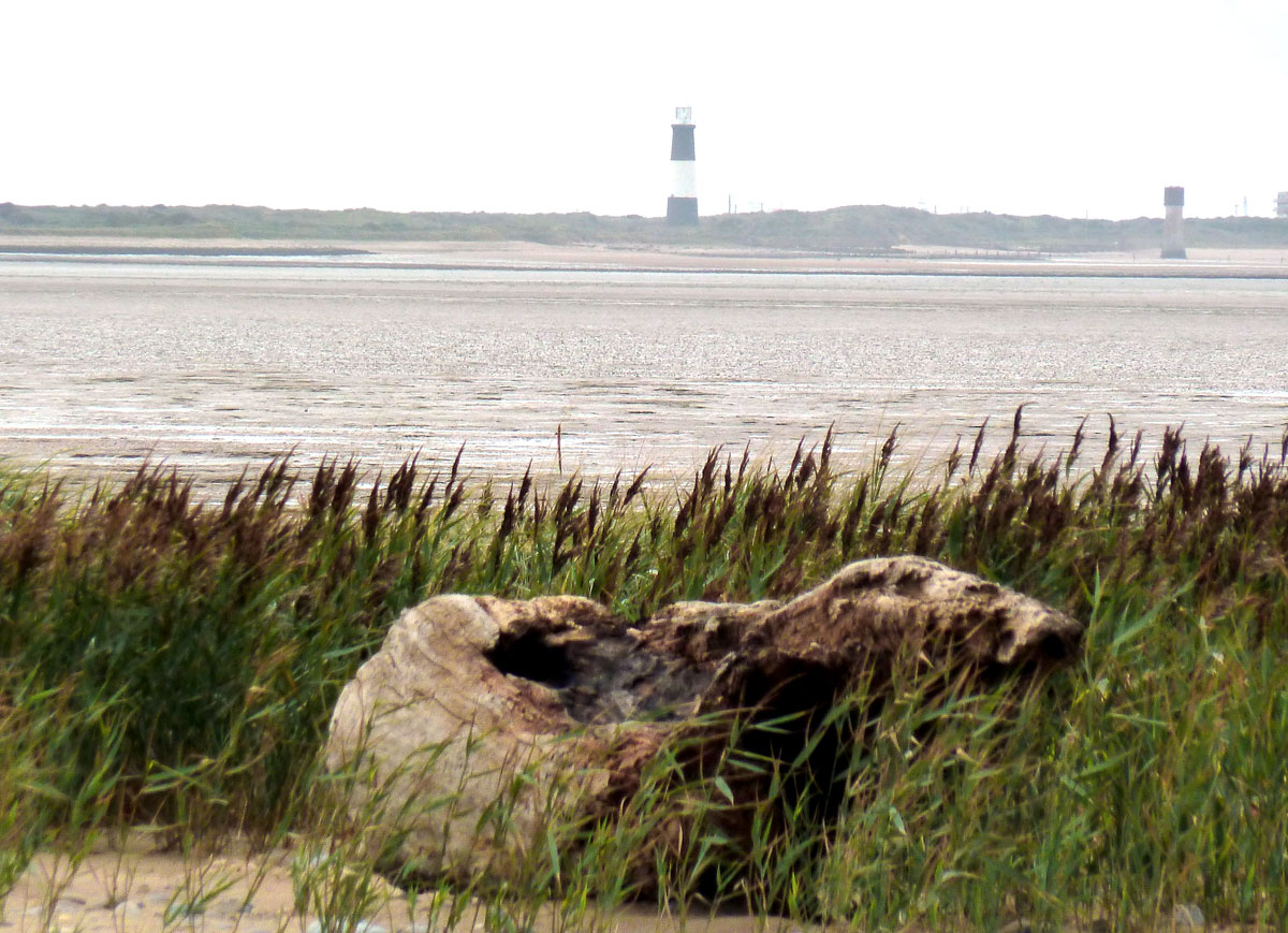 East Yorkshire Coast Travel Review spurn