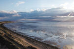 Ecotourism destinations in Yorkshire spurn point