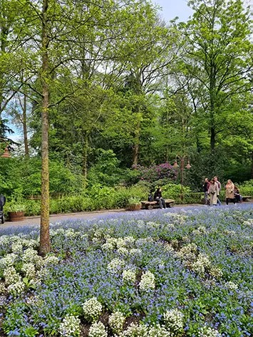 Efteling Amusement Park The Netherlands