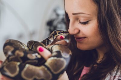 Exotic Pets Featured