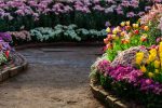 Expert Landscaping and Gardening Tips for a Beautiful Outdoor Space (1)