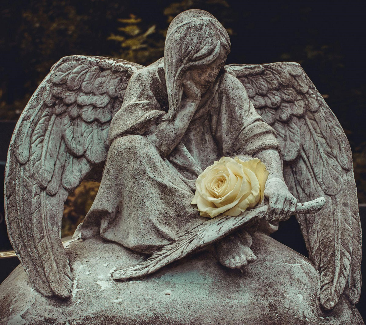 Expressing Sympathy The Best Online Flower Deliveries for Condolences in Yorkshire (1)
