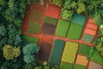 From Farm to Face How Regenerative Agriculture is Transforming Skincare (2)