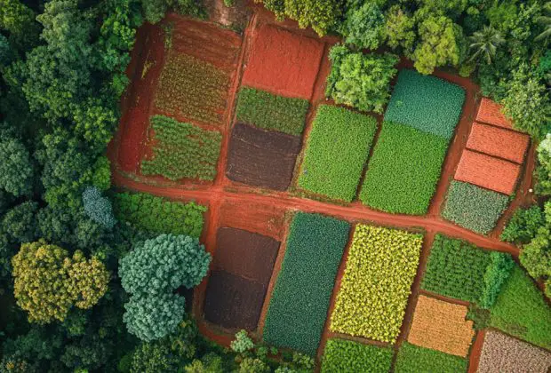 From Farm to Face How Regenerative Agriculture is Transforming Skincare (2)