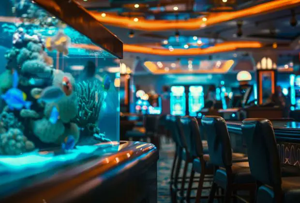 Funding Conservation Efforts How Casino Revenue Can Support Marine Environmental Projects (2)