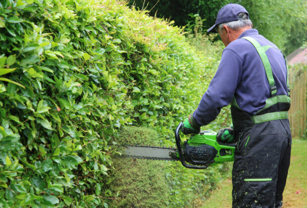 Gas Hedge Trimmer 5 Safety Tips Every Homeowner Should Know (2)