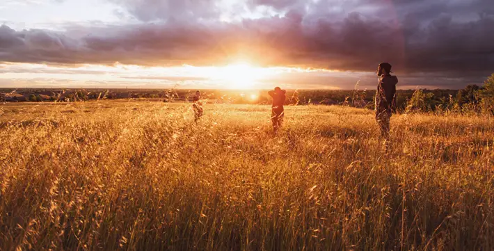 Gold, Crude Oil and Agriculture - How are these Commodities Faring in the Global Slowdown wheat