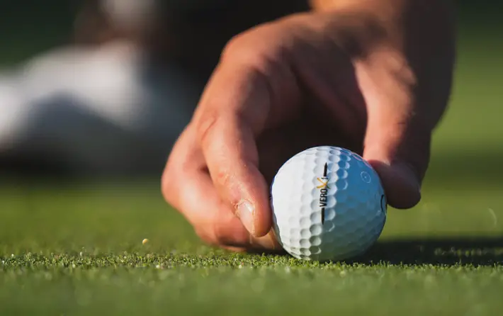 Golfing 101 Different Types of Course Grasses golf