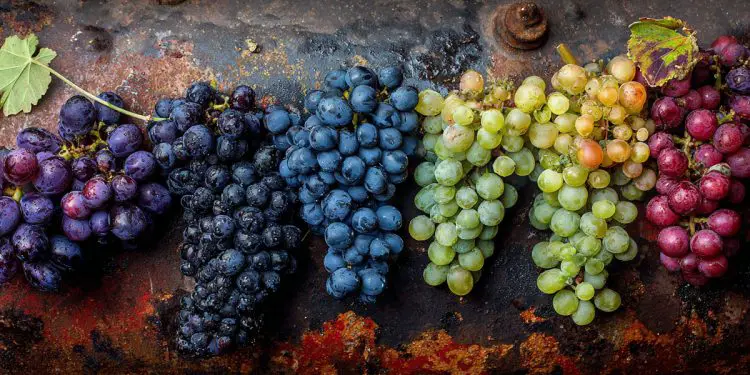 Grape Varieties Alternatives to the Classics (1)