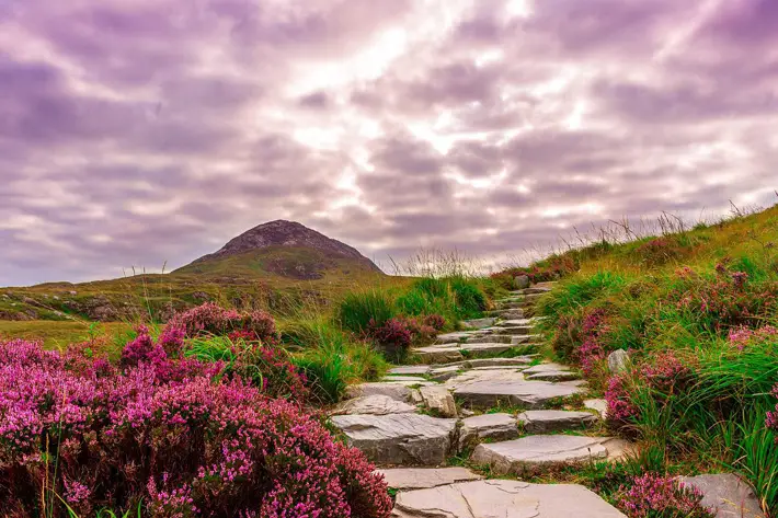 Great Ways to Explore Ireland scenery