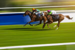 Horse Racing Jargon Decoded Terms Every Fan Should Know (1)