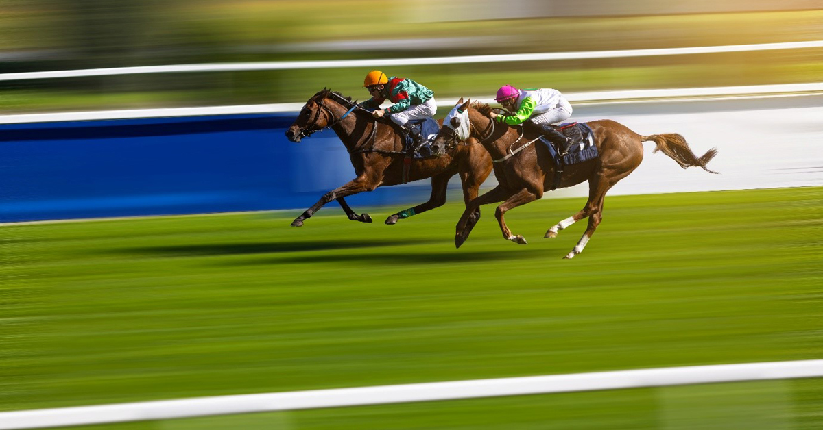 Horse Racing Jargon Decoded: Terms Every Fan Should Know - On ...