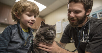 How Can You Find The Most Trusted Vet In Yorkshire Without Wasting Time (2)