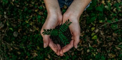 How To Make Your Business Radically More Sustainable (2)