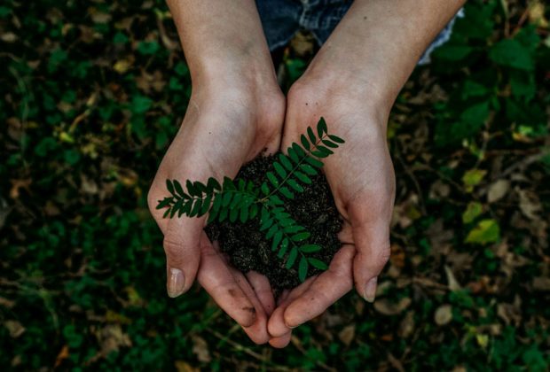 How To Make Your Business Radically More Sustainable (2)