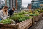How Urban Yorkshire Has Blossomed in the Garden Boom (1)