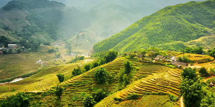 Stunning rice terraces in Sapa