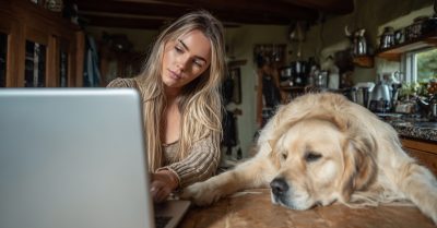 How Yorkshire’s Professionals Are Redefining Pet-Friendly Living (1)