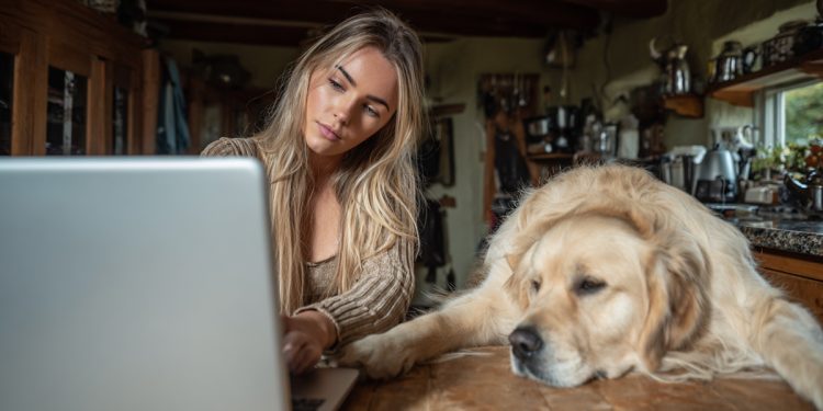 How Yorkshire’s Professionals Are Redefining Pet-Friendly Living (1)