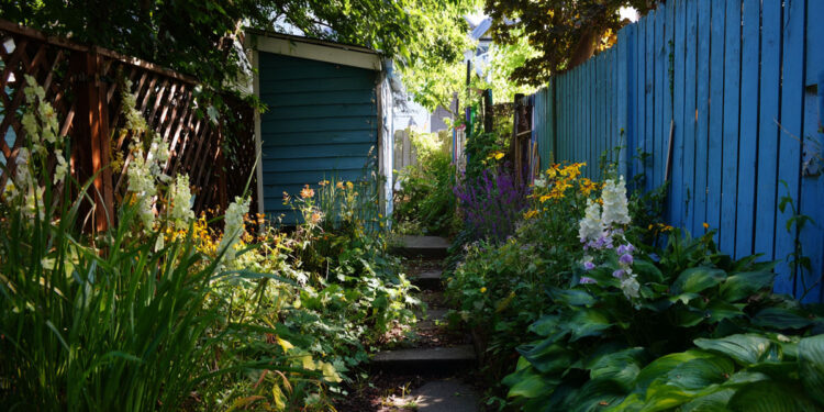 How a Forgotten Corner Became the Family's Favourite Spot (1)