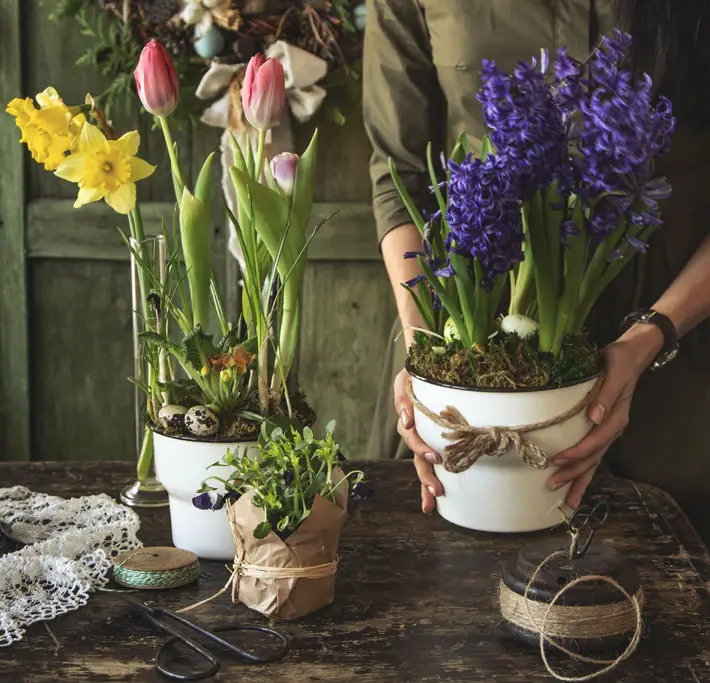 How a Greenhouse Can Extend the Growing Season Through Winter bulbs