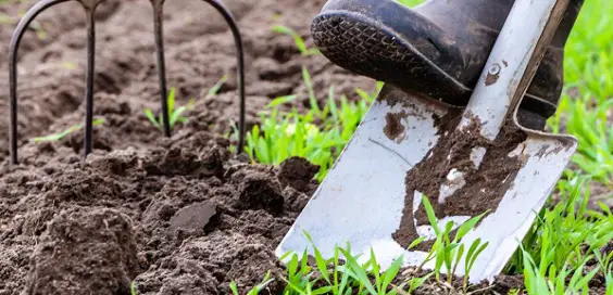 How to Get Your Garden Ready for Summer main