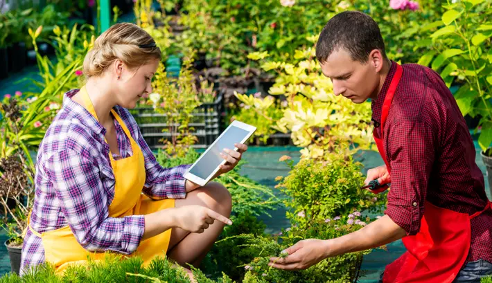 How to Pick the Best Flowers for a Greenhouse gardens