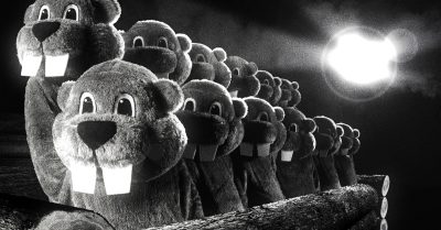 Hundreds Of Beavers Film Review