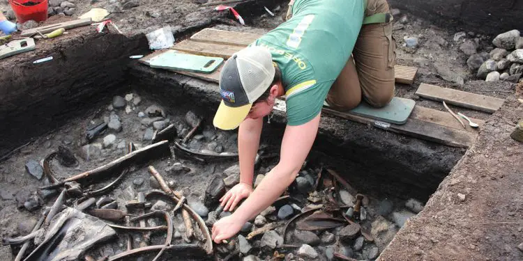 Hunter-gatherers Excavation Archaeologists