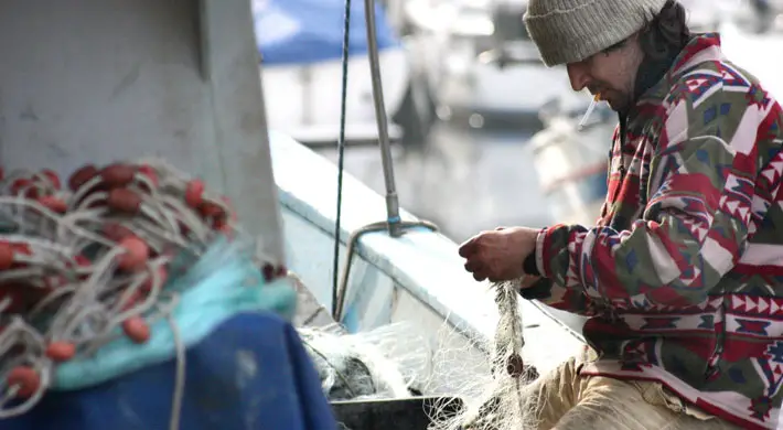 Is It Worth It To Become A Commercial Fisherman fishing