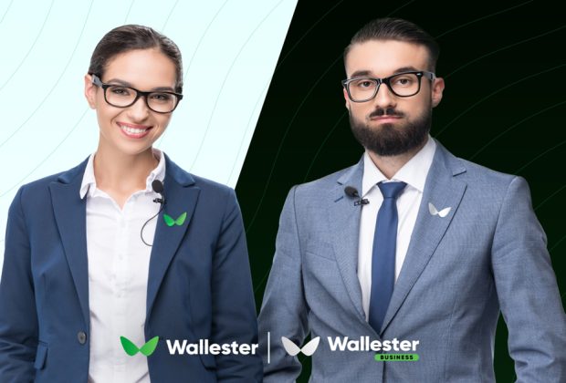Is Wallester Suitable for Your Business An Overview of the Corporate Finance Management Platform