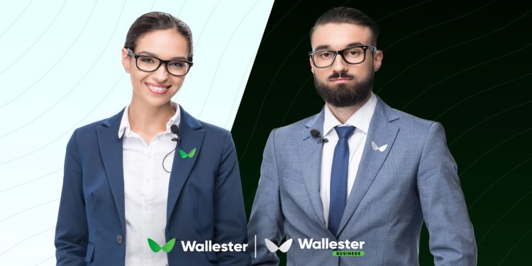 Is Wallester Suitable for Your Business An Overview of the Corporate Finance Management Platform