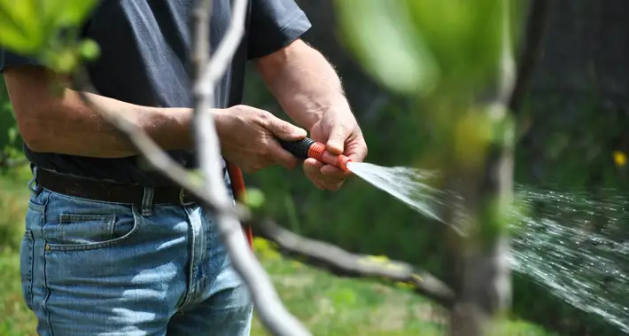 Key To Storing Your Garden Essentials Effectively hose