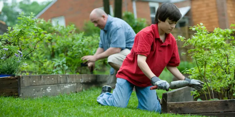 Key To Storing Your Garden Essentials Effectively main