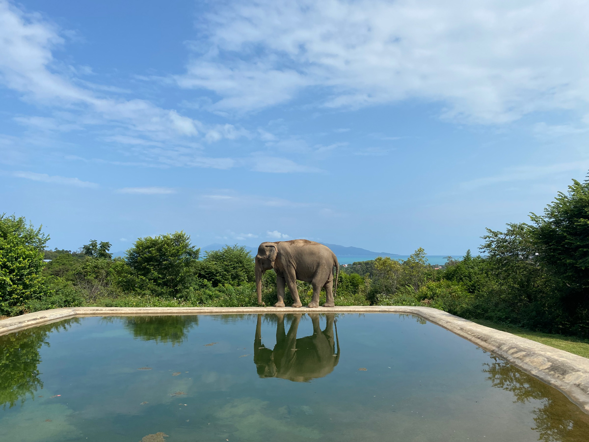 Koh Samui Thailand