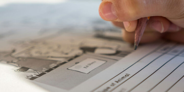 LEI Register Review A Closer Look at Its Registry-Linked Application Form