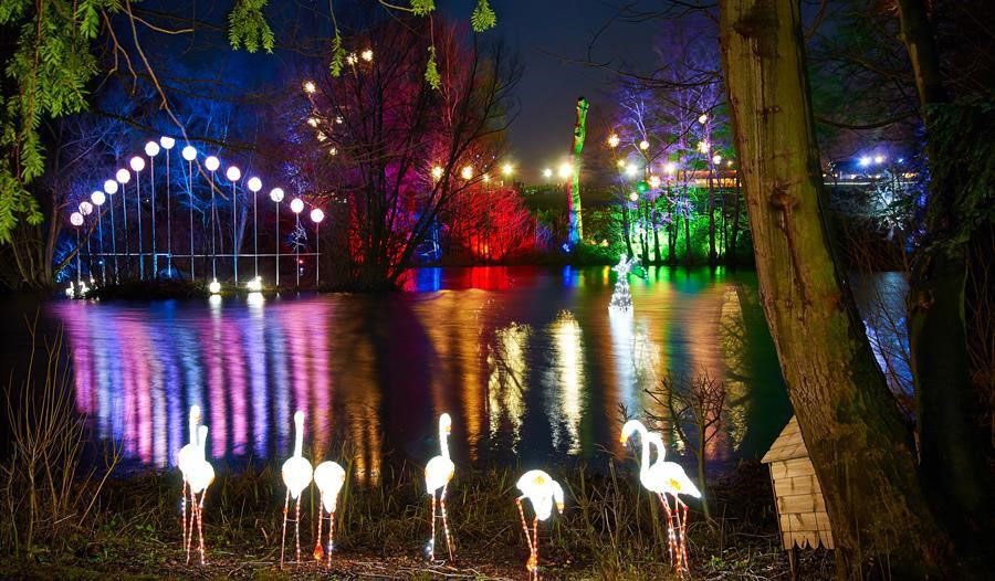 Locations You Cannot Miss in Yorkshire This Christmas stockeld park