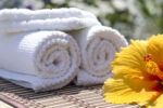 Longevity Starts at Home The Wellness Investments That Add Value to Your Life & Space