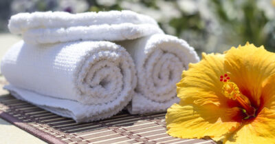 Longevity Starts at Home The Wellness Investments That Add Value to Your Life & Space