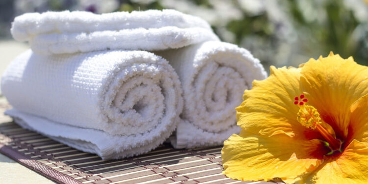 Longevity Starts at Home The Wellness Investments That Add Value to Your Life & Space