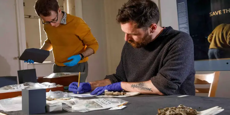 Melsonby Hoard Saved for Yorkshire Thanks to National Heritage Memorial Fund and Public Support (2)