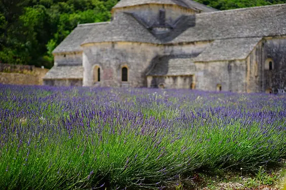 Mirabeau Rosé from the Côtes de Provence lavendar