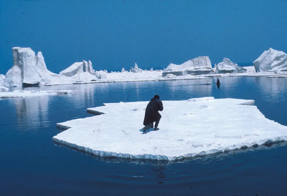 Orca Film Review (2)